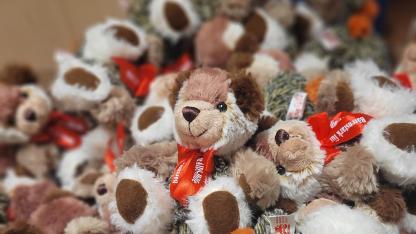 Aids-Teddy 2024